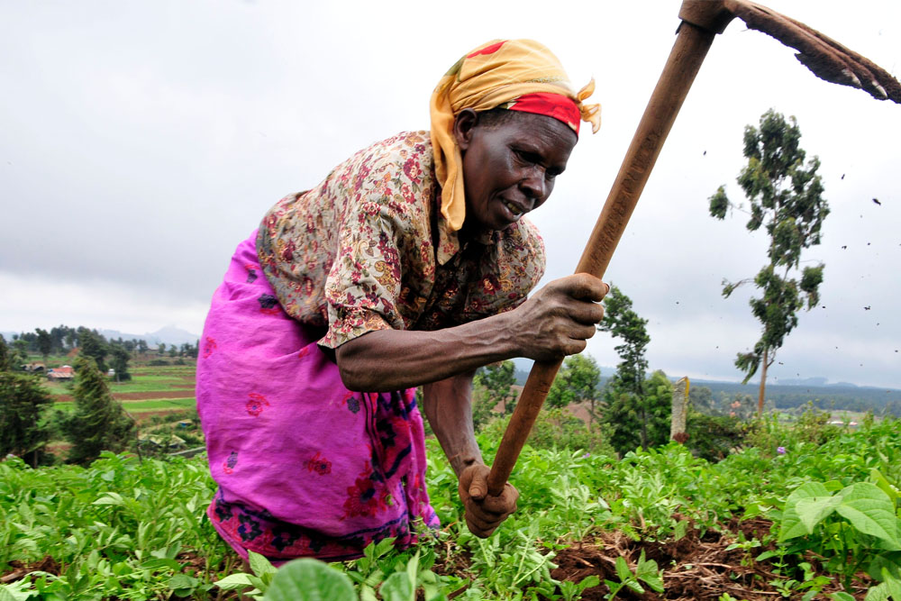 FARMERS DIARY WOMEN ACCESS TO LAND
