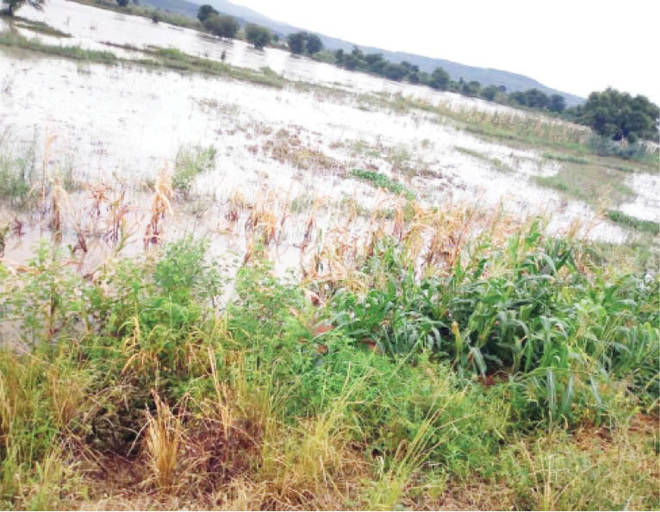 Farmers Diary Benue- Flood Effect on Smallholder farmers- watch video