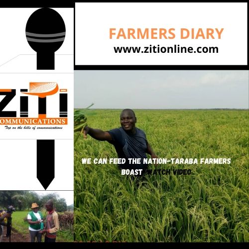 FARMERS DIARY: WE CAN FEED THE NATION, TARABA FARMER BOAST- watch video