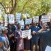 Taraba State University Non academic staff unions stage protest over poor welfare – watch video