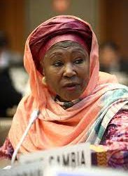 2023:  Ex-Gambian VP, Fayemi call for increased women participation in governance