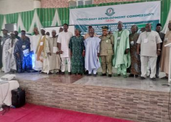 NEDC HOLDS STAKEHOLDERS MEETING ON MASTER PLAN IN TARABA STATE