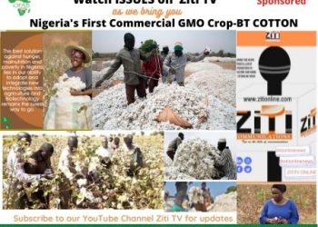 Issues on Ziti TV brings you Nigeria’s  First GMO Crop BT COTTON-watch video