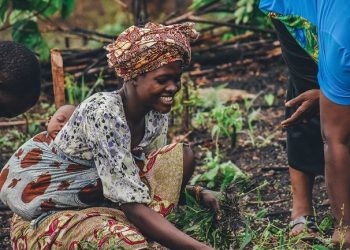 Invest in African Rural Economy – Organization Call on African Union Commission