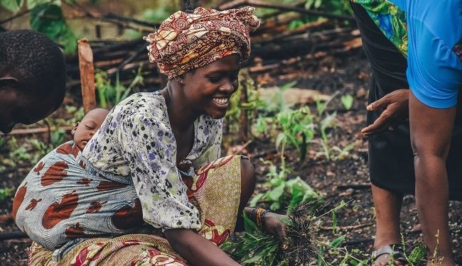 Invest in African Rural Economy – Organization Call on African Union Commission