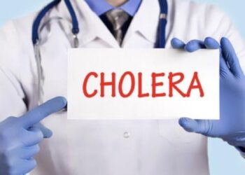 Cholera Outbreak: FG’s Emergency Technical Group to Meet with States to Find Solution