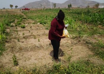 FOOD INSECURITY: Embrace farming, Presidency urges Nigerians