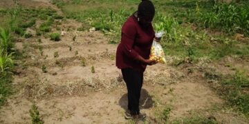 FOOD INSECURITY: Embrace farming, Presidency urges Nigerians