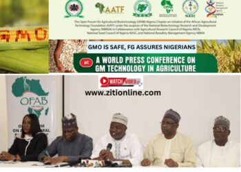 GMOs Are Safe, Group Insist– watch video