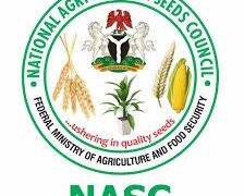NASC Assures Nigerians of Safety, Benefits of GMO Technology in Boosting Food Security