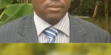 GMO: Farmers now have choice to produce high yield, make more money-Don