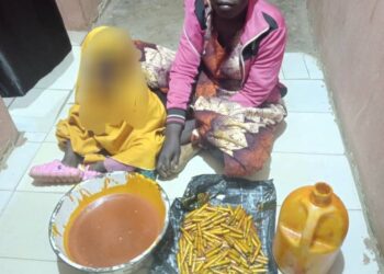 Nasarawa: Police Arrest suspect, Recovers Anti Aircraft Ammunition