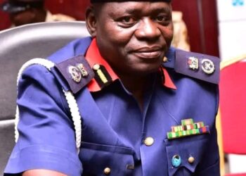 Taraba NSCDC parades suspect for power cable vandalism