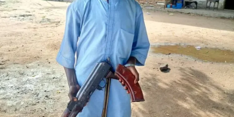 Security:Troops bust criminal network in Taraba