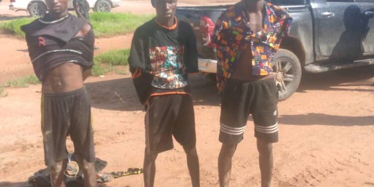 TROOPS OF 6 BRIGADE NAB 3 SUSPECTED BANDITS AND KEY TERRORIST LOGISTICS SUPPLIER IN TARABA STATE