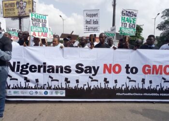 Nigeria’s Fight for Food Sovereignty: Thousands Rally Against GMOs, Calling for a Ban and a Shift to Agroecology