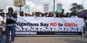 Nigeria’s Fight for Food Sovereignty: Thousands Rally Against GMOs, Calling for a Ban and a Shift to Agroecology