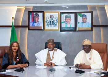 Nigeria Launches NIN-Enabled Farmer Registry, G2P Card to Boost Food Security