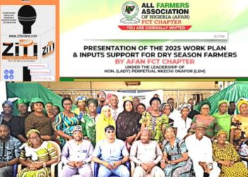 FCT Farmers Receive Boost as AFAN Distributes Free Inputs, Calls for Year-Round Farming Support