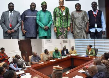 PTAD, Online Editors Unite to Clean Up Nigeria’s Pension System