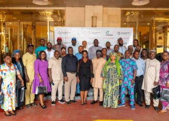 Aig-Imoukhuede Foundation Rolls Out Training to Boost Public Sector Planning