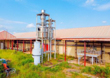 BIPC Boss Orders Asset Audit of Wannune Tomato Factory, Moves to Revive Benue’s Industrial Pride