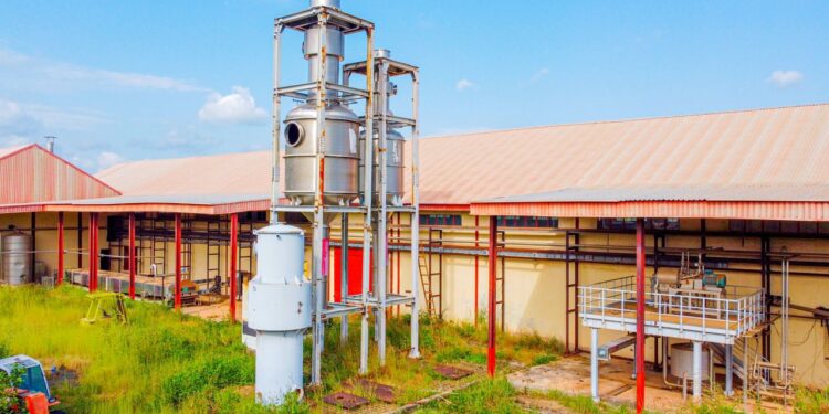 BIPC Boss Orders Asset Audit of Wannune Tomato Factory, Moves to Revive Benue’s Industrial Pride