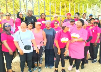 Abuja Women Dance Group Hosts 2025 Healthy Steps Walk for Women’s Growth