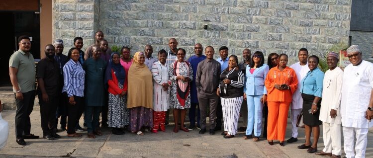 CS-SUNN Calls for Increase Funding as 70% Nigerian Children Battle Anaemia