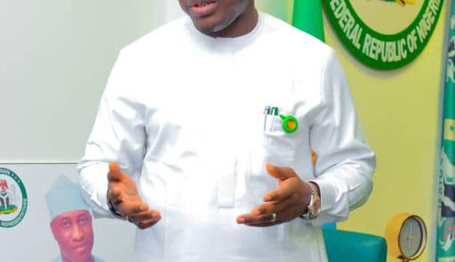 NELFUND Disburses N116bn, Recovers N266m from Schools — Ehindero