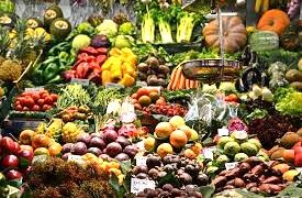FG, Experts Unite to Tackle Malnutrition with New National Plan