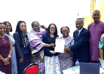 Delay No More: Nigeria Moves to Shield Babies from Aggressive Formula Marketing