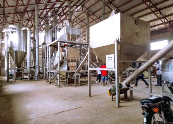 Yam Factory Audit Raises Fresh Doubts