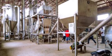 Yam Factory Audit Raises Fresh Doubts