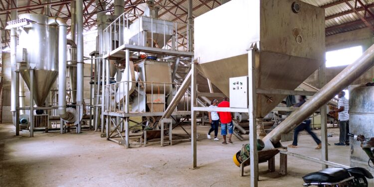 Yam Factory Audit Raises Fresh Doubts