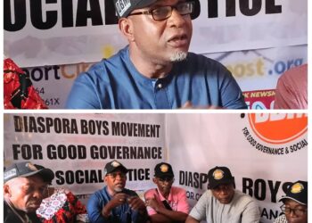 2027 Election: Diaspora Group Mobilises 100,000 Nigerians for Tinubu